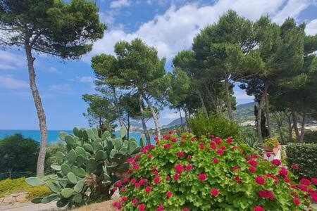 Cavallino Sea House Cefalù Extérieur photo